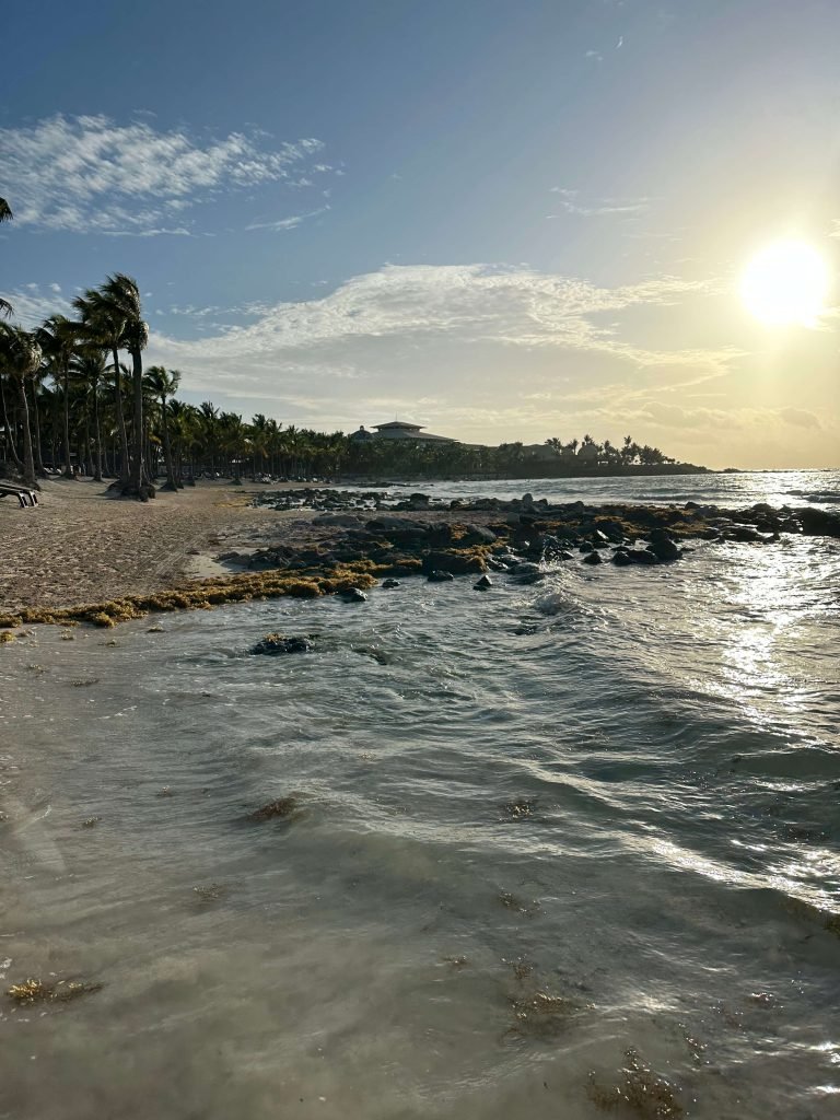 This is a picture of the beach in Mexico at sunrise. The purpose is to show what our resort was like.